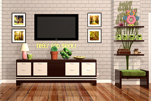 ������ľװ����