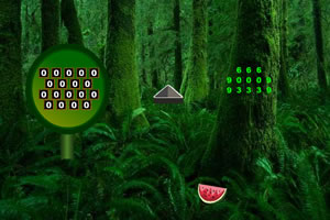 ��ɫ��ѻ����