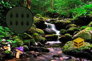 �Ա�����ɭ������