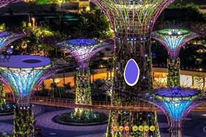 �뿪����ߵĻ�԰