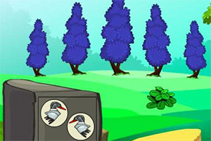 ���뱦��ɭ��