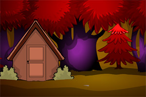 ������ʵ�����