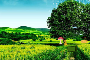 ïʢɭ�ִ�����