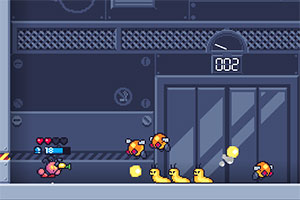 �㶹С����