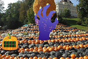 ��ʥ���Ϲ�԰����