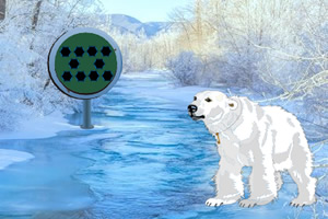 ѩ�еı�����ɭ��