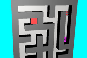 3D�����Թ�