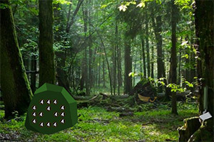 ���ڿ���Ĵ���