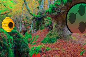 ����̦޺ɭ��