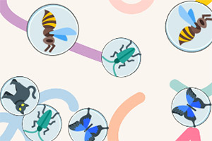 ���￨������