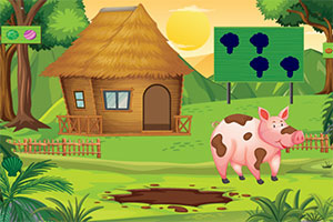 ������������