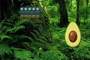 �ȳ�������