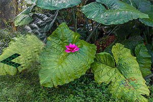 �����䶪ʧ