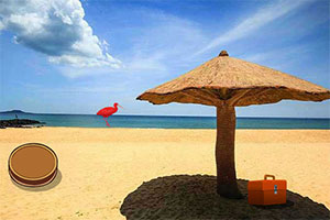 ���������̲