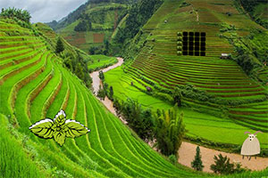 ��ɽ֮������