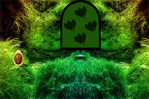 ��Ԯ��ɫ����