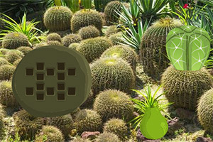 ���������ƻ�԰