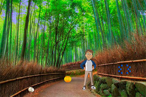 �к���������