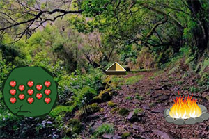 ������ʪɭ��