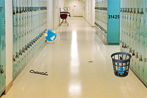 �������ѧУ