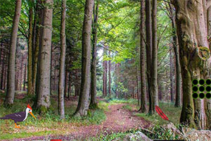 ��Ҷ��������