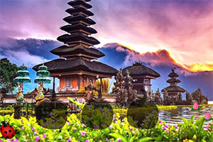 ��Ԯ��ʽ��