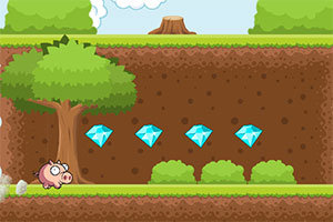 �����ܿ�