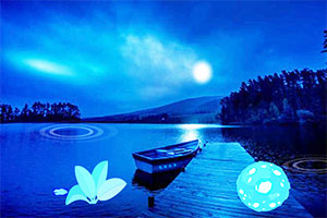 ������������