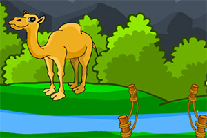 Ӫ�ȼ���������