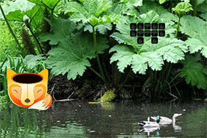 ����ֲ�ﻨ԰