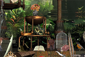 ��ʧ�Ŀ���ѧ��