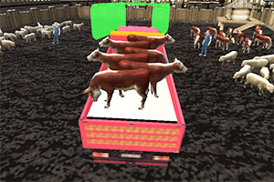 �������䳵��ʻ