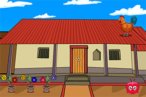 �ɰ���è����Ԯ