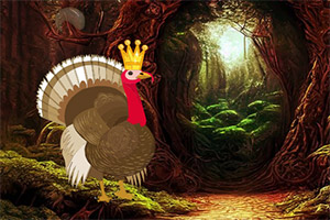 Ѱ����ʧ�Ļ𼦵�