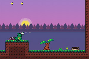 �����͵�����