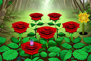 õ���ɾ�����