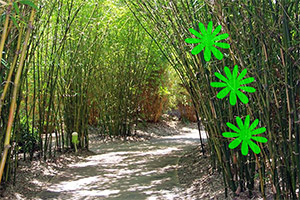 ��������������