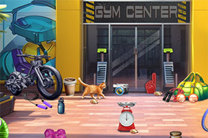 �������İ���