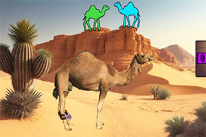 ���ȱ���������