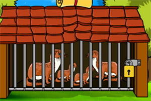 �ȳ�������