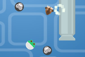 ���鶯����