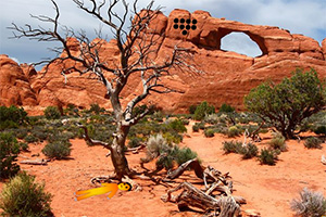 ����ɳĮ����