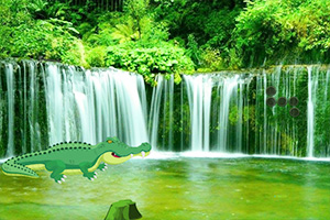 �����ٲ�ɭ������