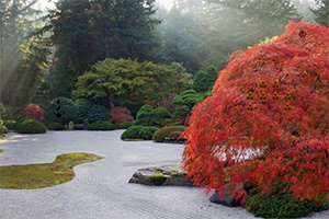 ��Ҷ��԰����