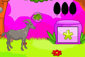 ��ԮС����