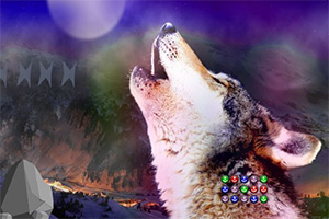 ���������ǵ�