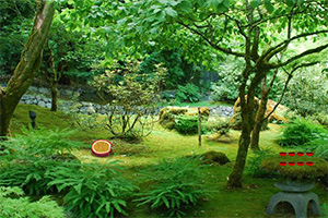 ɭ����������