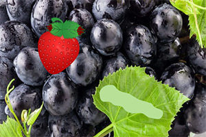 �������ѵ�