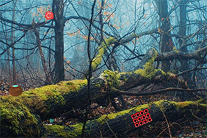 ��Ȼɭ������