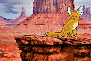 ��Ԯ��������